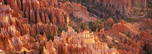 Orange Rock Formations And Trees At Bryce Canyon PosterPrint - Item # VARDPI1884597