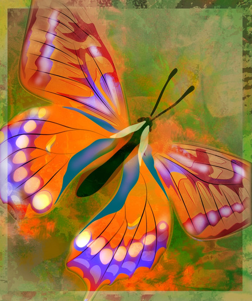 Butterfly Illustration PosterPrint - Item # VARDPI1796724