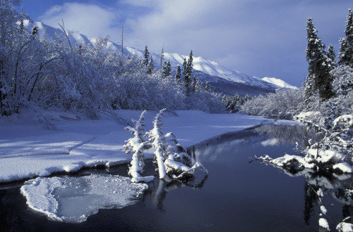 Eagle River In Chugach Sp Sc Alaska Early Winter PosterPrint - Item # VARDPI2093577