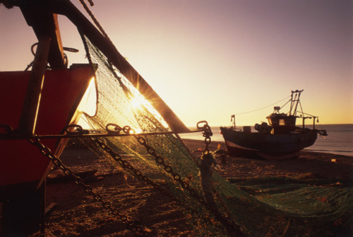 Fishing Boats And Nets On The Stade At Dawn PosterPrint - Item # VARDPI1889749