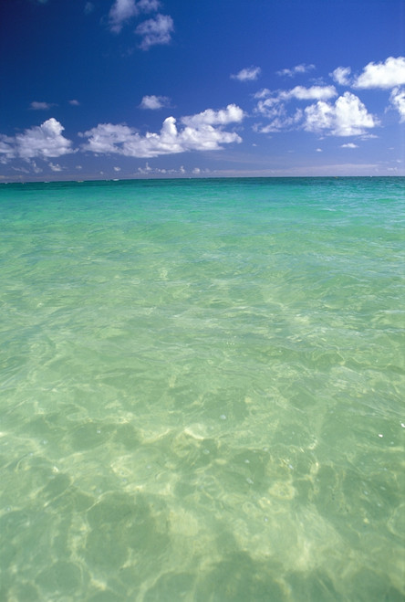Calm Turquoise Ocean With Sandy Bottom Blue Sky And Clouds PosterPrint - Item # VARDPI2001101