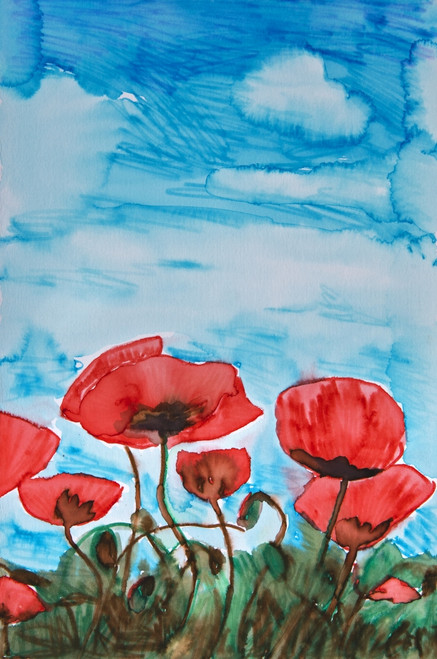 Painting of red poppies and a blue sky PosterPrint - Item # VARDPI12268180