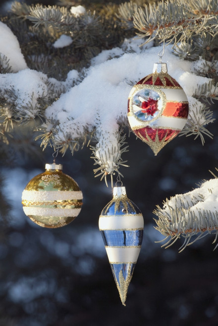 Christmas Ornaments PosterPrint - Item # VARDPI1866417
