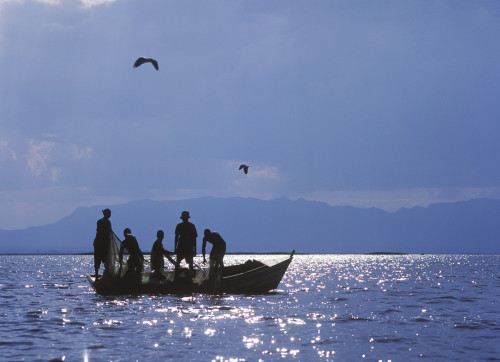 Fishermen Pulling Fishing Nets On Small Boat On Lake Chilwa PosterPrint - Item # VARDPI1892289