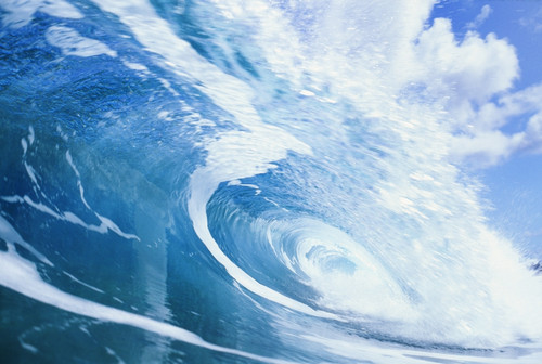 Close Up Of Large Curling Wave PosterPrint - Item # VARDPI1993297