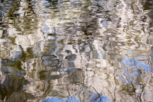 Reflection In Rippled Water PosterPrint
