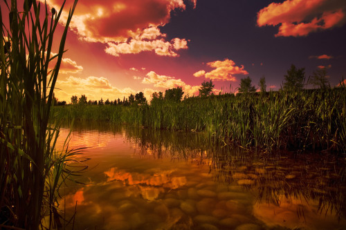 Sunset Over A Lake PosterPrint - Item # VARDPI1830473