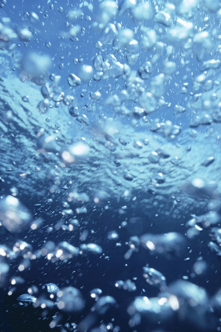 Underwater View Of Air Bubbles Near Surface PosterPrint - Item # VARDPI2002444