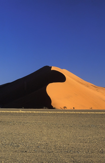 Sand Dune And Field PosterPrint - Item # VARDPI1892293