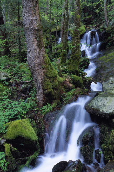 Waterfall Pouring Down Mountainside PosterPrint - Item # VARDPI1782668