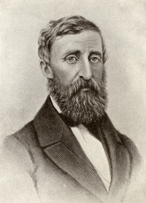 Henry David Thoreau 1817 To 1862 American Author Naturalist Transcendentalist Tax Resister Development Critic And Philosopher From An Early 20Th Century Book PosterPrint - Item # VARDPI1839644