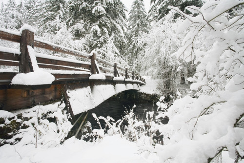 Snowy Pedestrian Bridge Through Forest PosterPrint
