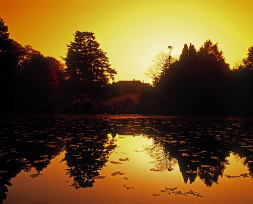 Silhouetted Home And Trees Near Water PosterPrint - Item # VARDPI1798097
