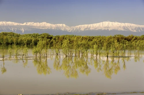 Trees Along Shoreline With Mountains In The Background PosterPrint - Item # VARDPI1854863