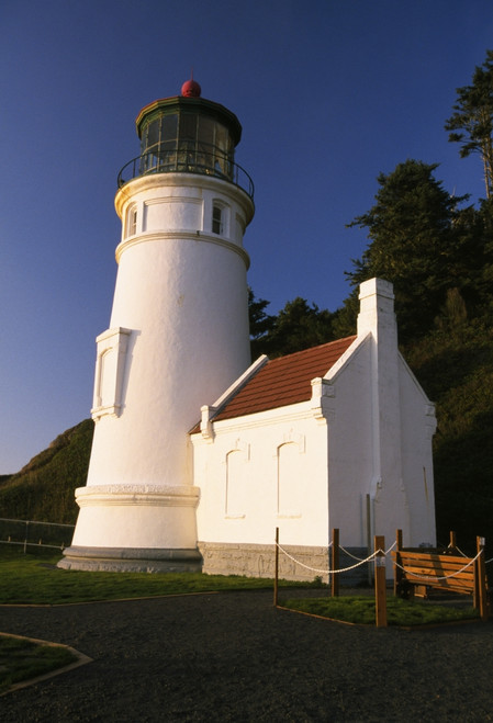 Heceta Head Lighthouse Along Oregon Coast PosterPrint - Item # VARDPI1788364