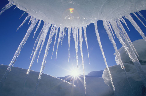 Icicles Hanging From Iceberg On Spencer Lake Kp Alaska PosterPrint - Item # VARDPI2093532