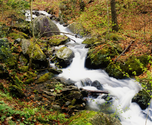 River With Fallen Autumn Leaves In The Forest PosterPrint - Item # VARDPI1803927