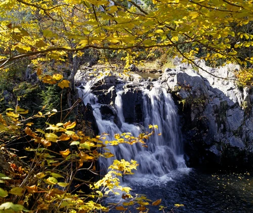 Small Waterfall Among Trees PosterPrint