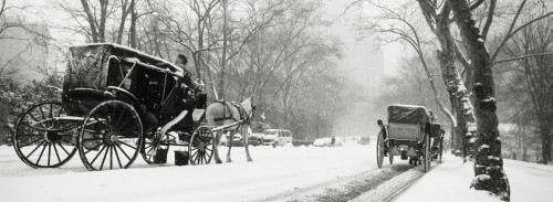 Central Park In Falling Snow PosterPrint