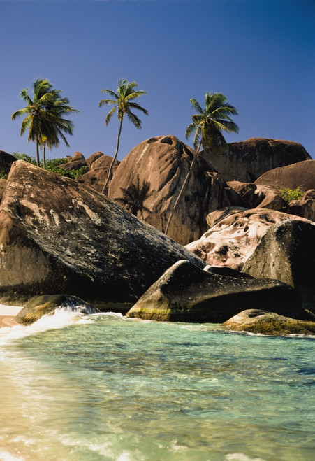 Boulders And Palm Trees On Tropical Beach PosterPrint - Item # VARDPI1892809