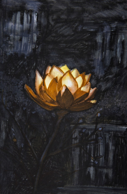 Golden flower on black background PosterPrint - Item # VARDPI12268184