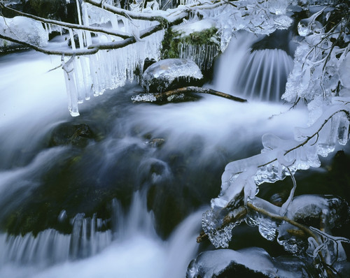 Icicles Hang Above River Chugach State Park Sc Ak Winter Scenic PosterPrint - Item # VARDPI2095040