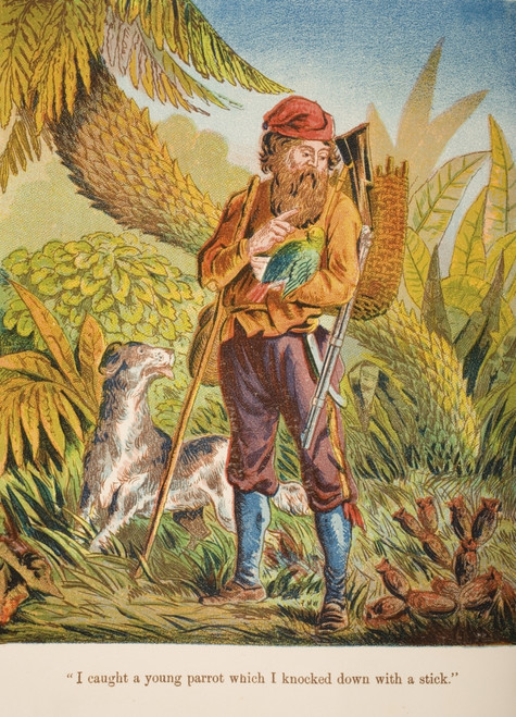 Chromolithographic Illustration From Life And Adventures Of Robinson Crusoe By Daniel Defoe From A Softback Edition Published Circa 1860S PosterPrint - Item # VARDPI1857044 Chromolithographic Illustration From Life And Adventures Of Robinson Crusoe By Daniel Defoe From A Softback Edition Published Circa 1860S PosterPrint - Item # VARDPI1857044