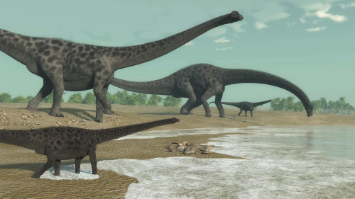 Diplodocus dinosaurs looking for water. Poster Print by Elena Duvernay/Stocktrek Images - Item # VARPSTEDV600378P