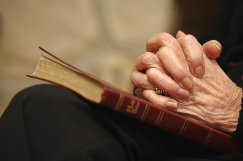 Praying Hands Poster Print by Don Hammond / Design Pics - Item # VARDPI1785586