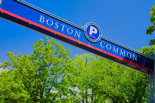 Boston Commons, Boston, Massachussetts Poster Print by Panoramic Images - Item # VARPPI181958