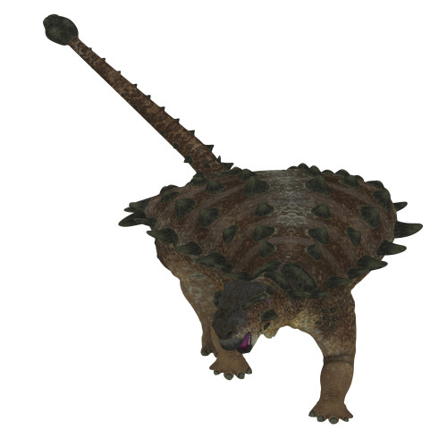 Front view of a Pinacosaurus dinosaur. Poster Print by Corey Ford/Stocktrek Images - Item # VARPSTCFR200767P