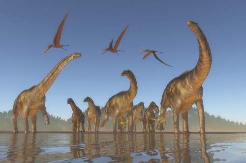 Herd of Argentinosaurus and Deinocheirus dinosaurs with a flock of Anhanguera above. Poster Print by Corey Ford/Stocktrek Images - Item # VARPSTCFR200896P