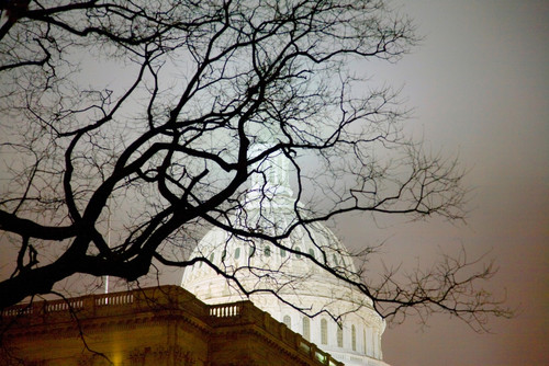 US Capitol at night in fog, Washington D.C., USA Poster Print by Panoramic Images - Item # VARPPI181951