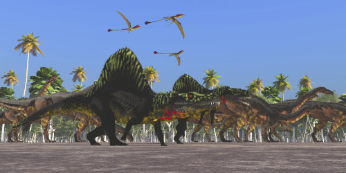 Arizonasaurus dinosaurs follow along with a herd of Plateosaurus. Poster Print by Corey Ford/Stocktrek Images - Item # VARPSTCFR200686P