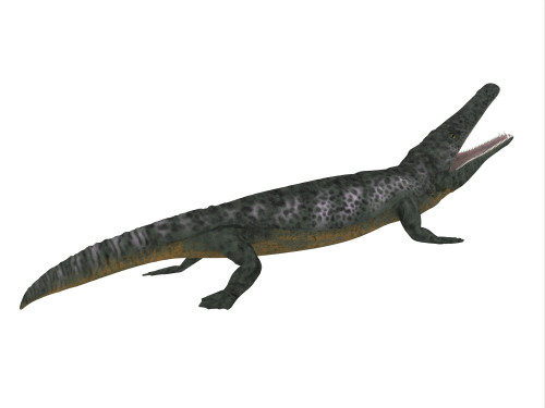 Archegosaurus side profile. Poster Print by Corey Ford/Stocktrek Images - Item # VARPSTCFR200780P