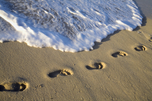 Footprints In The Sand Poster Print by David Chapman / Design Pics - Item # VARDPI1854328