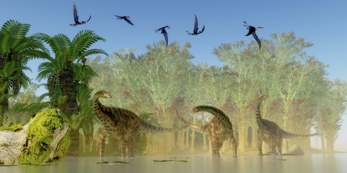 A flock of Dorygnathus fly over a herd of Spinophorosaurus dinosaurs. Poster Print by Corey Ford/Stocktrek Images - Item # VARPSTCFR200815P