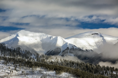 Snow covered mountain with frosted evergreen trees on hillside with clouds in the valley and blue sky; Radium Hot Springs, British Columbia, Canada Poster Print by Michael Interisano / Design Pics - Item # VARDPI12324602