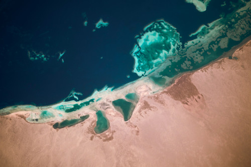 Satellite view of coastal area and Red Sea, Egypt Poster Print by Panoramic Images - Item # VARPPI181280