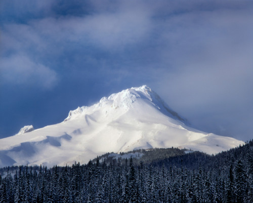 Scenic view of snowcapped mountain, Mt Hood, White River, Mt Hood National Forest, Hood River County, Oregon, USA Poster Print by Panoramic Images - Item # VARPPI173259