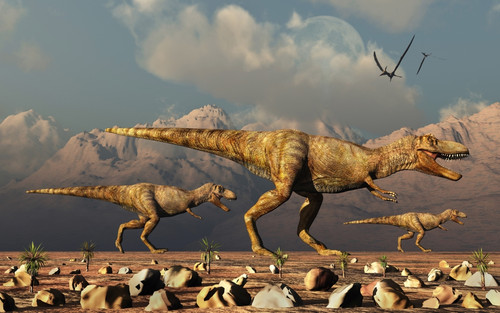 A pack of Tyrannosaurus rex dinosaurs hunting for food. Poster Print by Mark Stevenson/Stocktrek Images - Item # VARPSTMAS600158P