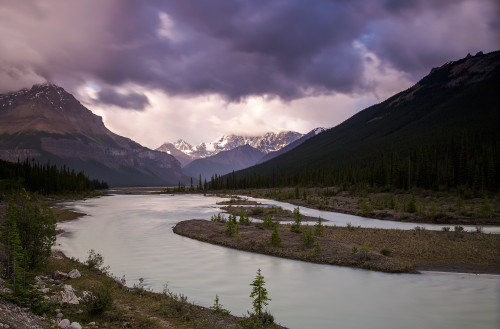 Cloudy summer day along the Sunwapta River, Jasper National Park; Alberta, Canada Poster Print by Kevan Dee / Design Pics - Item # VARDPI12311369