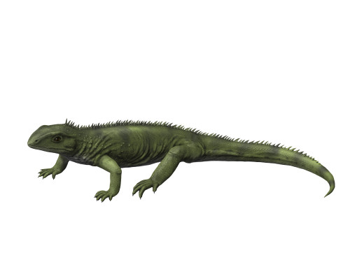 Gephyrosaurus is an extinct animal from the Early Jurassic period. Poster Print by Nobumichi Tamura/Stocktrek Images - Item # VARPSTNBT600172P