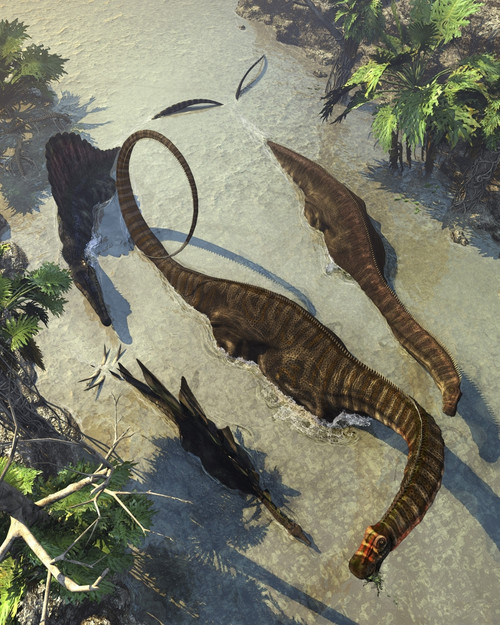 Apatosaurus dinosaurs being chased by a Spinosaurus. Poster Print by Kurt Miller/Stocktrek Images - Item # VARPSTKRT600020P