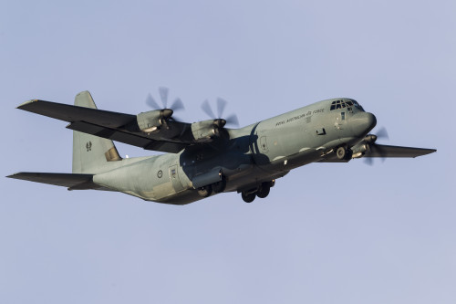 A Royal Australian Air Force C-130J Hercules. Poster Print by Rob Edgcumbe/Stocktrek Images - Item # VARPSTRDG100262M