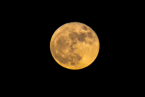 Super full moon Poster Print by Panoramic Images - Item # VARPPI182663