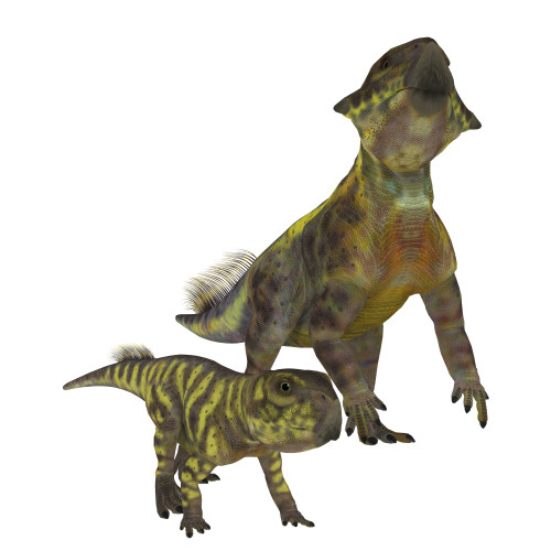 An adult Psittacosaurus dinosaur with offspring. Poster Print by Corey Ford/Stocktrek Images - Item # VARPSTCFR200835P