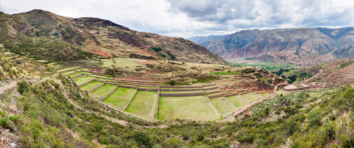 High angle view of terraced field, Colquepata District, Cusco Region, Peru Poster Print by Panoramic Images - Item # VARPPI155200