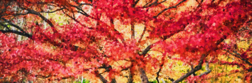 Trees in autumn, Oregon, USA Poster Print by Panoramic Images - Item # VARPPI161571