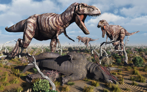 A pack of carnivorous T-rex dinosaurs with their freshly killed Triceratops. Poster Print by Mark Stevenson/Stocktrek Images - Item # VARPSTMAS600144P